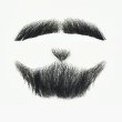 画像6: 付け髭　ミルフィーユスタイル　　舞台　演技　　普段使いにもぴったり　人毛100％　つけひげ　ひげ　あご　リアル　本物　RM-1001 (6)