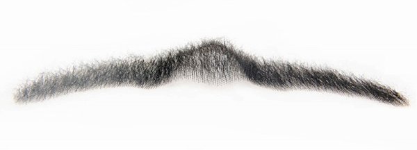 画像5: 付け髭　普段使いにもぴったり薄いバージョン　人毛100％　つけひげ　ひげ　あご　リアル　本物　　RM-1028 (5)